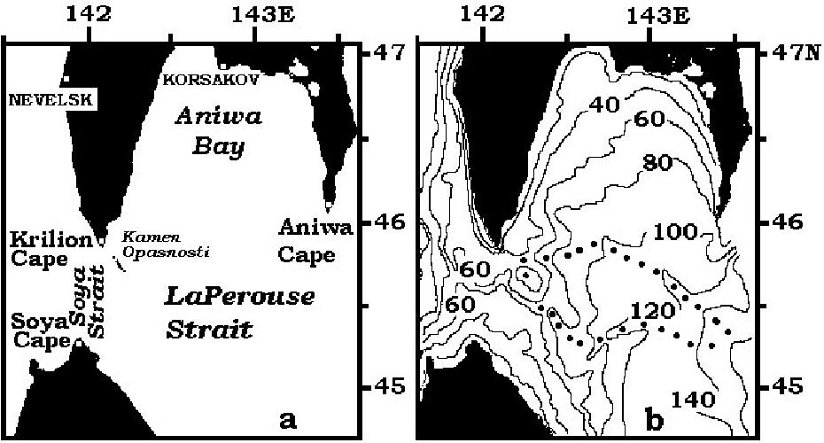 Fig. 1. Schemes of investigated area (a) and bottom topography (b).