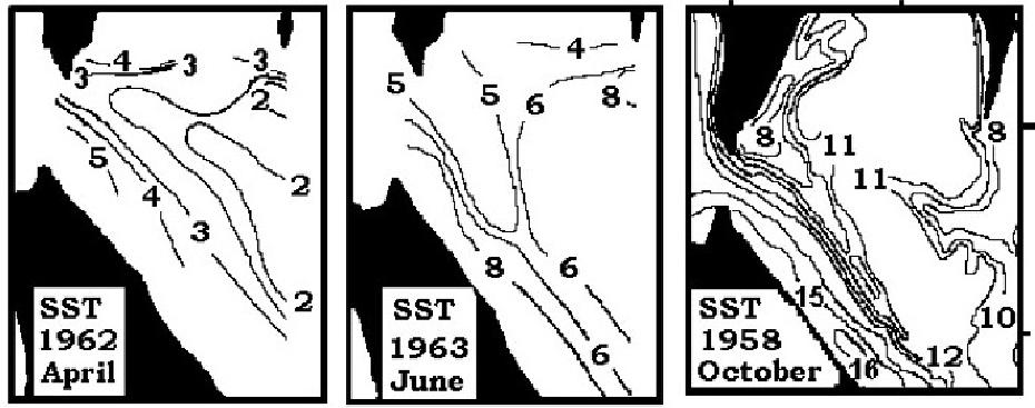 Fig. 5. SST distribution in LaPerouse Strait.