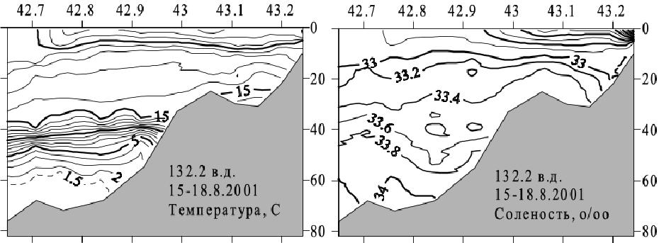 Распределение температуры и солёности на разрезе по 132.2° в.д. летом 2001 г.