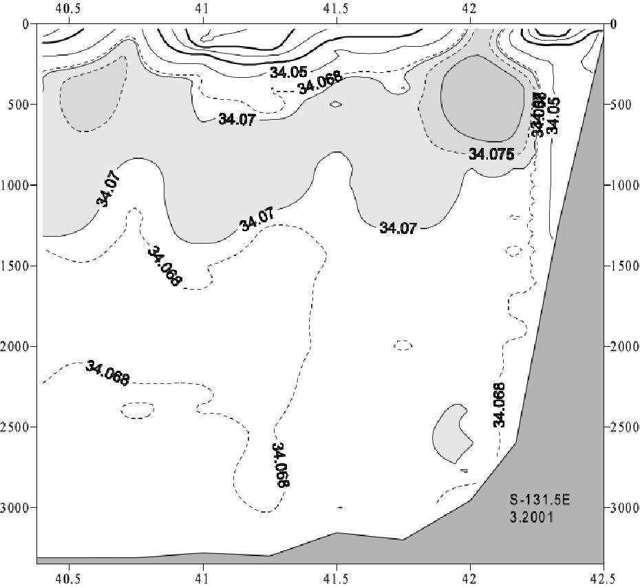 Распространение солёной воды от солёностного пояса на разрезе по 131.5° в.д. в марте 2001 г.