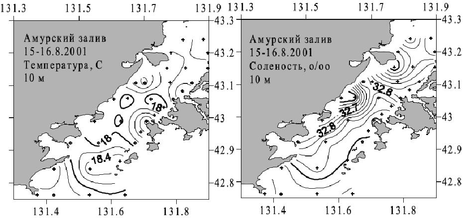 Температура и солёность Амурского залива на горизонте 10 м