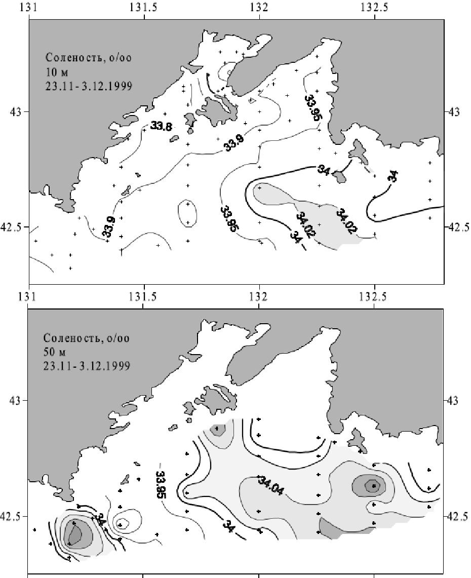 Солёность вод на горизонтах 10 м и 50 м в начале зимы
