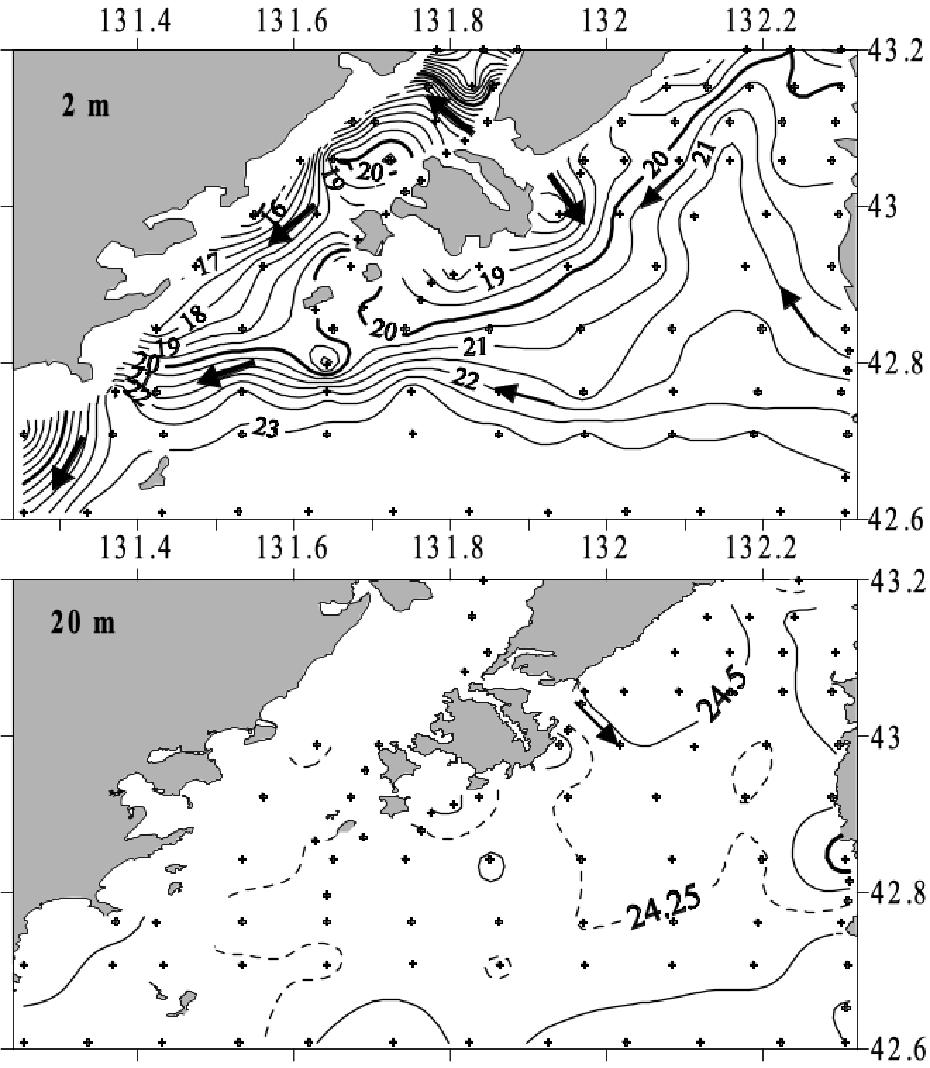 Распределение плотности на поверхности и на горизонте 20 м летом (август 2001 г.)